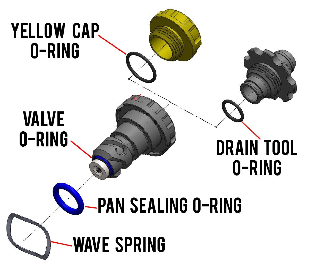EASY OIL DRAIN REPLACEMENT PARTS FOR FORD